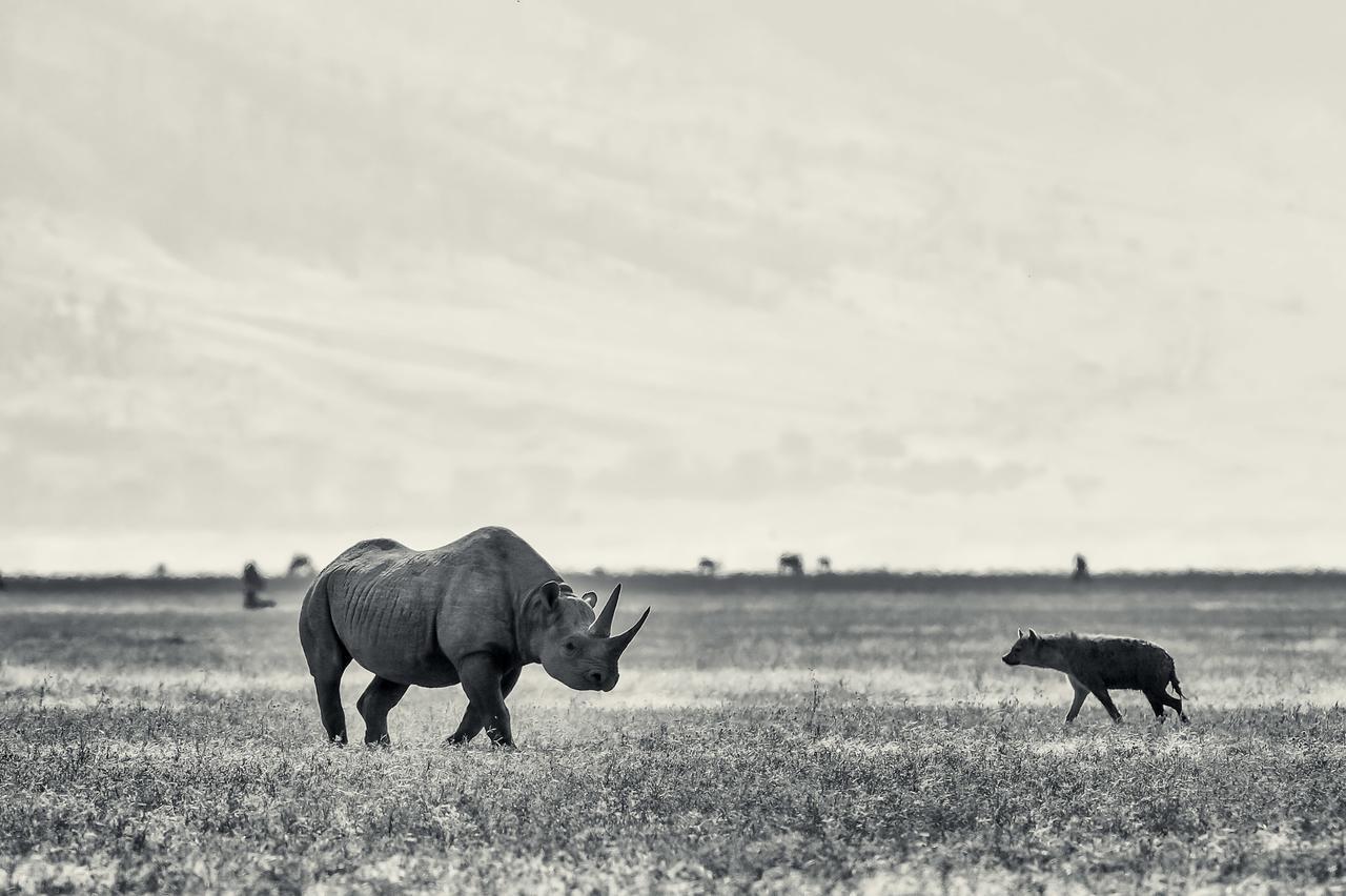 Ngorongoro Serena Safari Lodge Zewnętrze zdjęcie